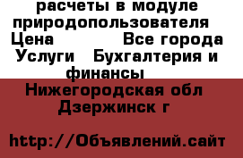 расчеты в модуле природопользователя › Цена ­ 3 000 - Все города Услуги » Бухгалтерия и финансы   . Нижегородская обл.,Дзержинск г.
